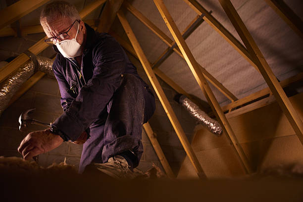 Best Residential Insulation Services  in Alto, TX